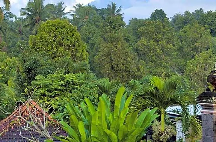 Hostal Desa Gobleg (Bali)