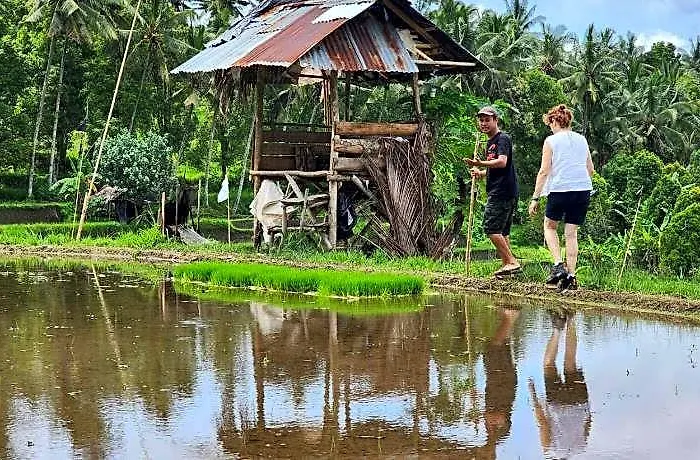 Desa Gobleg (Bali)